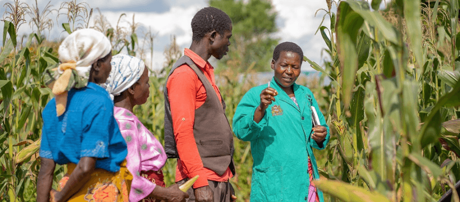 Farm Management & Consultancy Services